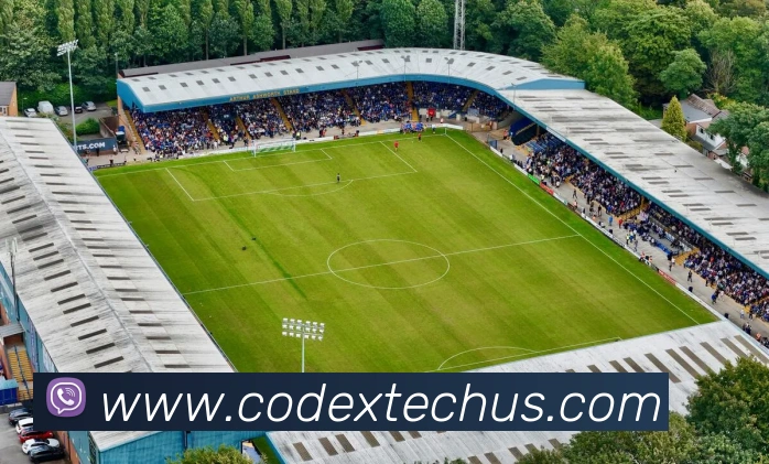 乐鱼手机官网入口leyu服务体系